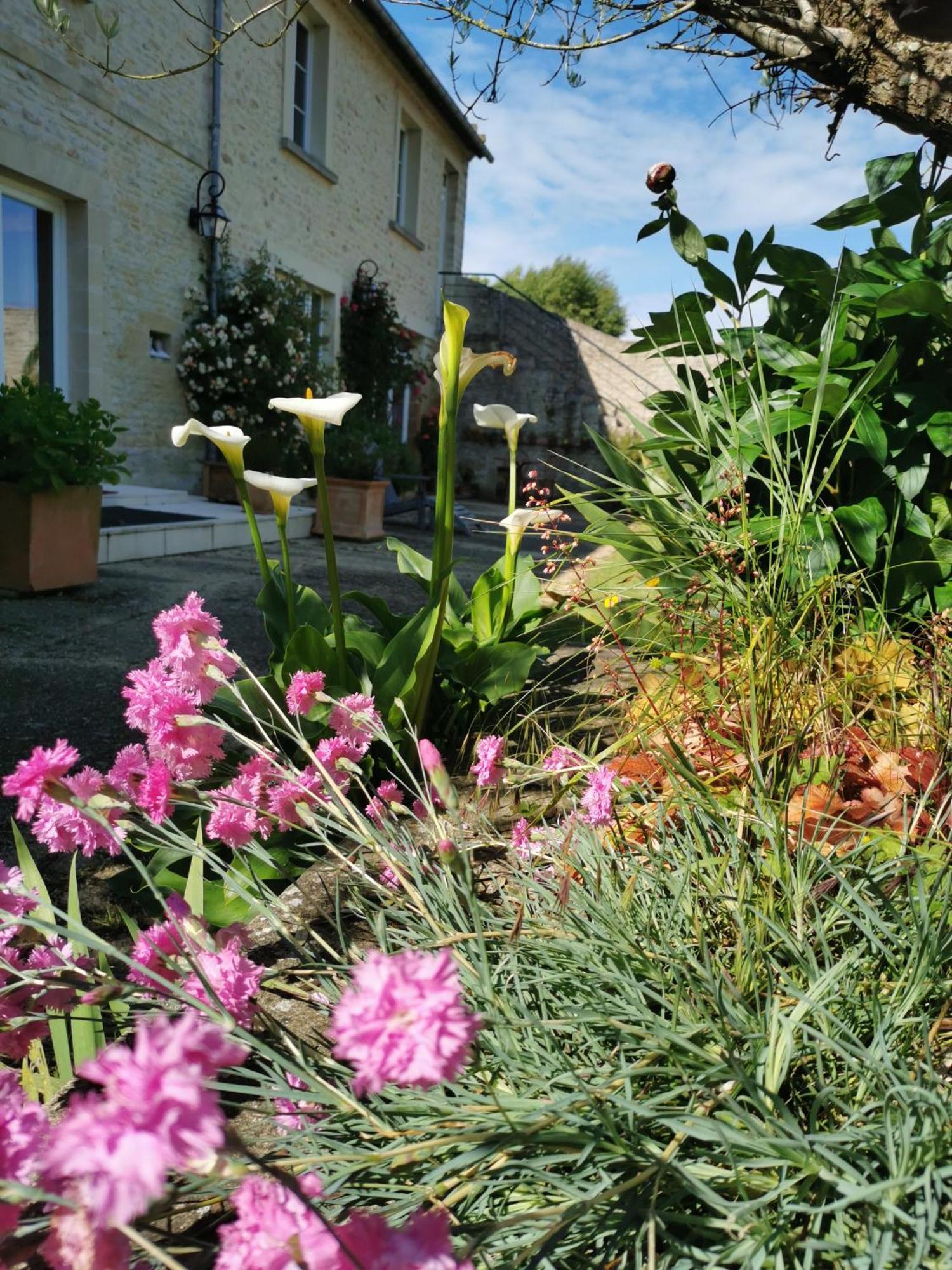 Chambre De L'Iris Sainte-Croix-sur-Mer Εξωτερικό φωτογραφία