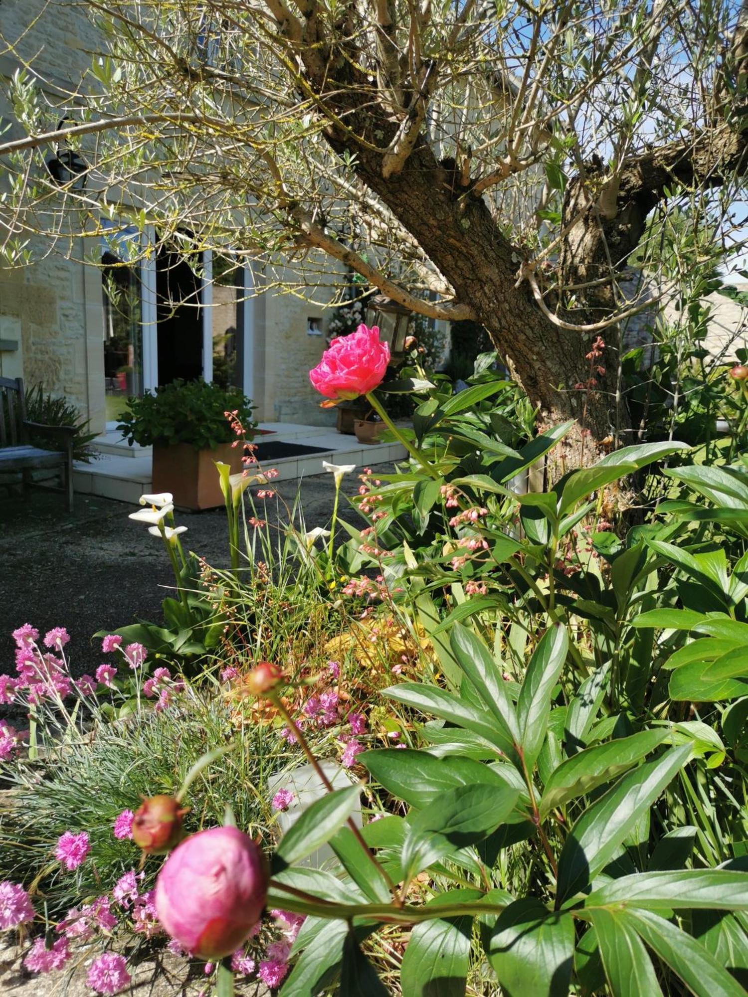 Chambre De L'Iris Sainte-Croix-sur-Mer Εξωτερικό φωτογραφία